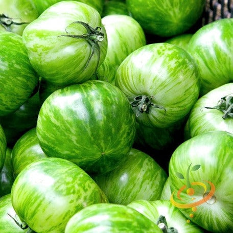 Buy Green Striped Zebra tomato seeds online in the USA | Heat-tolerant