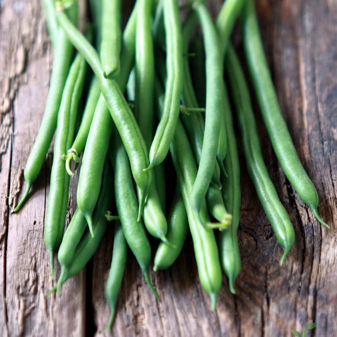 Shop Pole bean seeds from USA for your vegetable garden. Grow organic beans from seed. Order Open-pollinated OP, USA-quality, Heirloom, NON-GMO organic seeds & more!