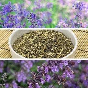 Shop for High-quality catmint seeds for thriving gardens and happy cats. Grow cat-friendly, aromatic plants in your organic herb garden. USA quality non-GMO seeds