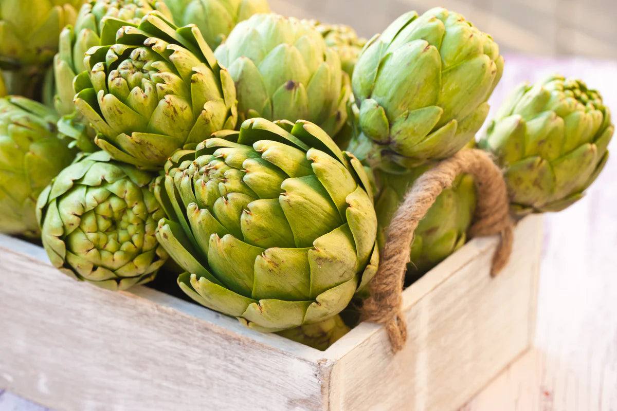 High-quality artichoke seeds for planting in an organic garden