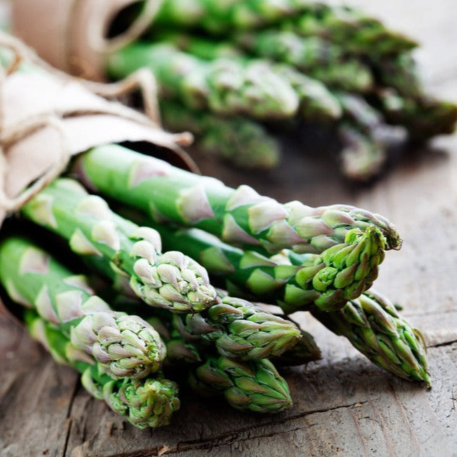 What are the best Companion Plants to grow alongside Asparagus?