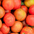 Tomato - Tigerella (Indeterminate) - SeedsNow.com