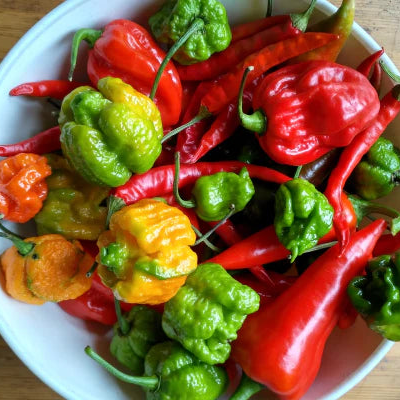 *NEW!* WORLD'S HOTTEST PEPPERS! 🌶️🔥🥵 Variety Pack