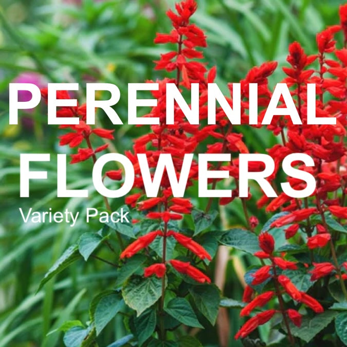 *NEW!* Perennial Flowers Variety Pack