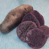Potato, Fingerling (Late-Season) - Purple Peruvian *pre-order*