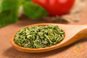 Oregano - Italian.