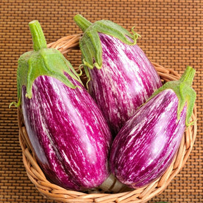 Basket of three Pandora striped eggplants with rose-colored white stripes on a woven mat background