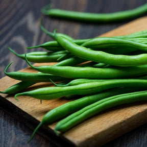 Landreth Seeds bush bean plant with green pods and leaves, ready for harvest, grown from SeedsNow bush bean seeds.