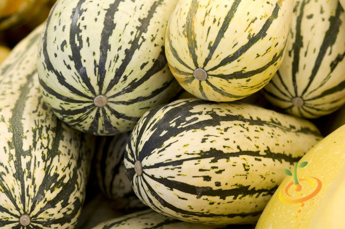 Squash (Winter) - Delicata.