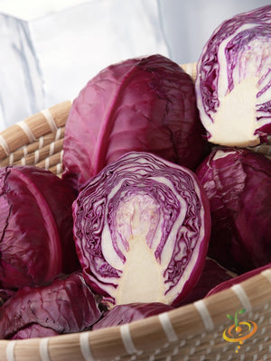 Cabbage - Acre, Red.