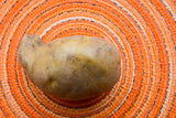 Potato (Early Season) - Cal White - SeedsNow.com