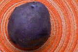 Potato (Mid-Season) - Huckleberry Gold (ORGANIC) - SeedsNow.com