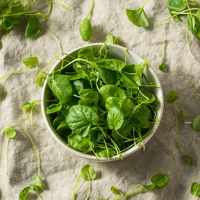Fresh green watercress seeds and leaves in a bowl on fabric background