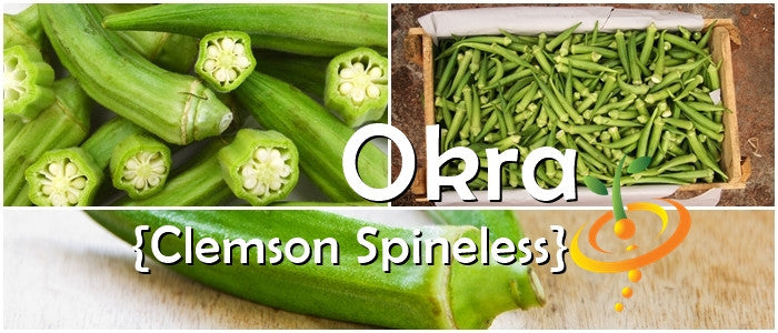 Okra - Clemson Spineless.