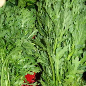 Shungiku edible chrysanthemum seeds from SeedsNow, displayed in a small packet with fresh leaves and flowers.