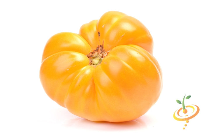 Tomato - Oxheart, Yellow (Indeterminate) - SeedsNow.com