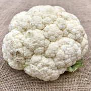 Cauliflower - Snowball - SeedsNow.com
